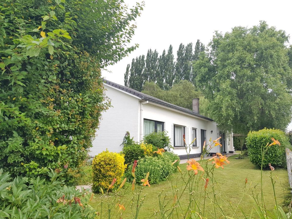 Mary'S Poppies - Bed & Breakfast Blandain Zewnętrze zdjęcie